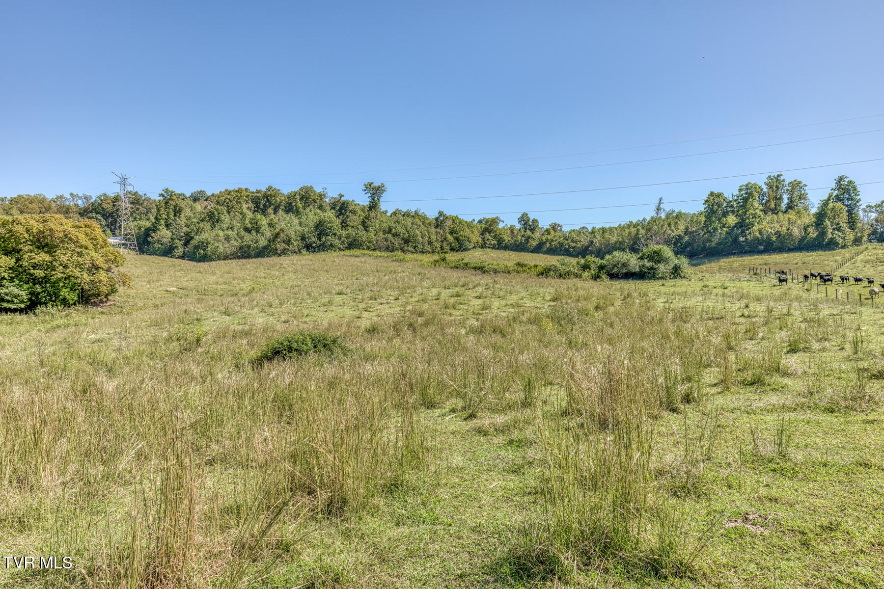 Tbd Yoakley Road, Unit 1 Blountville, TN 37617 - Photo 34 of 36 TBD2 Yoakley Rd-35