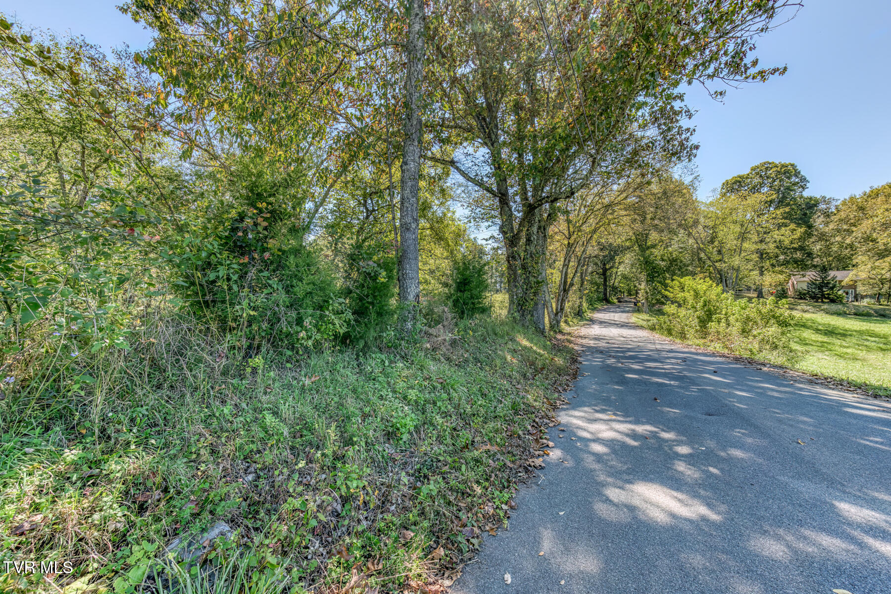 Tbd Yoakley Road, Unit 1 Blountville, TN 37617 - Photo 9 of 36 TBD2 Yoakley Rd-9