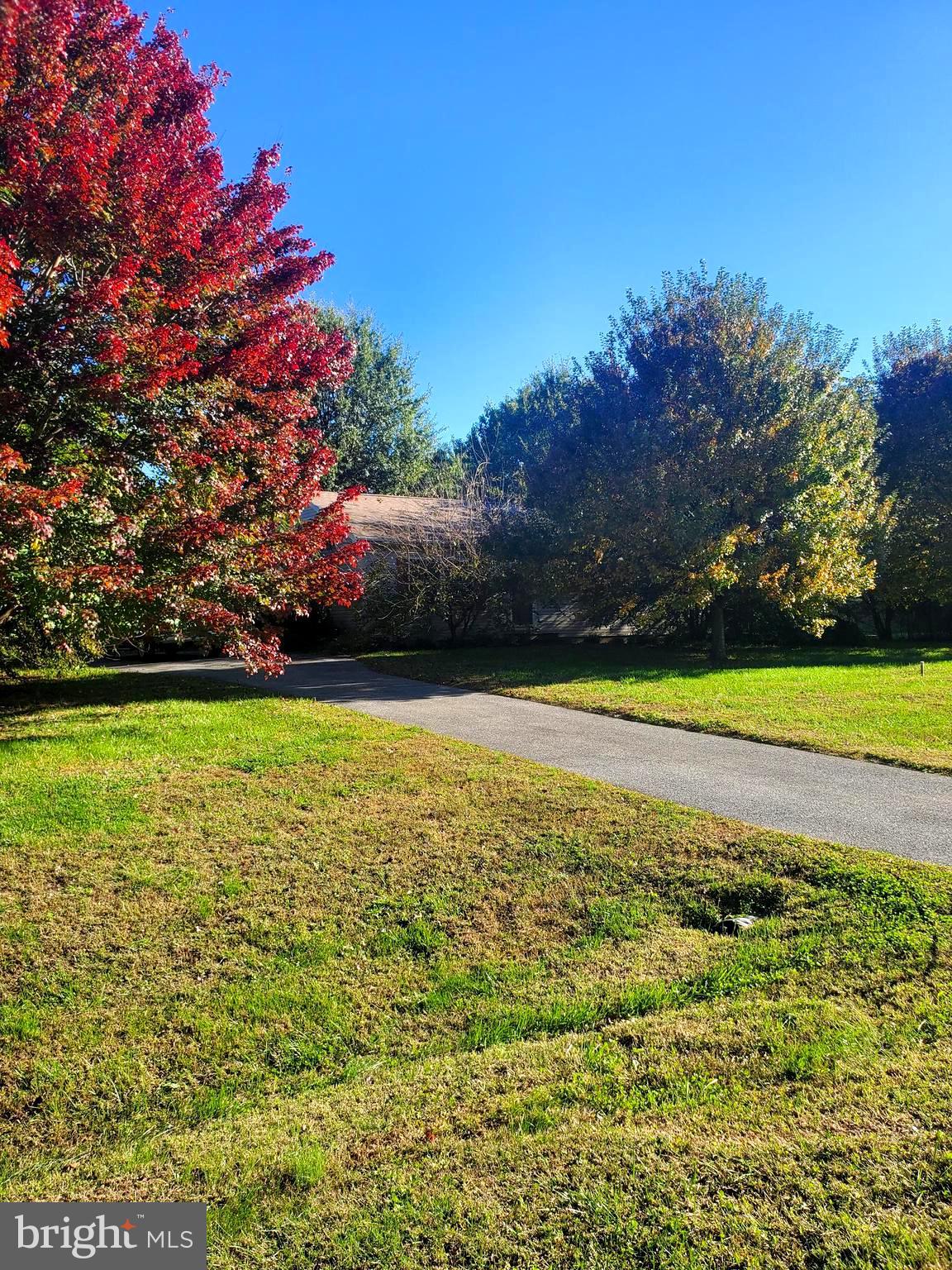 86 Whitetail Lane Magnolia, DE 19962 - Photo 1 of 18 a view of a swimming pool and an outdoor space