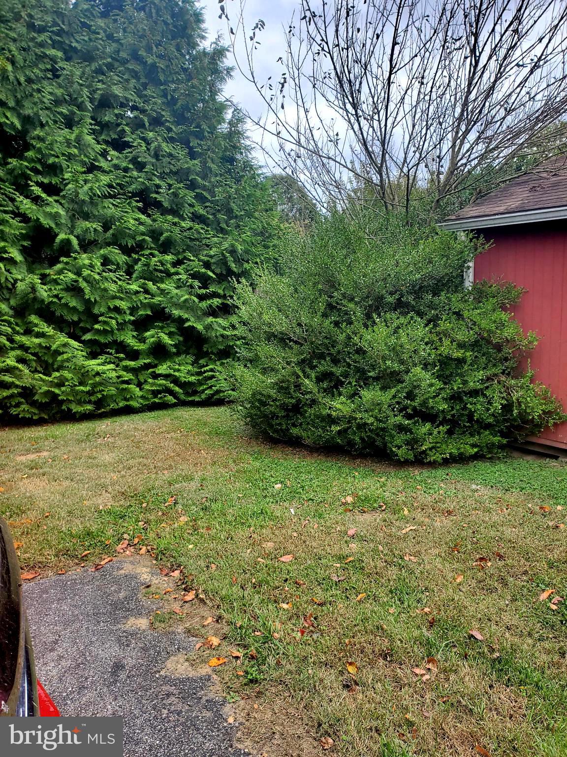 86 Whitetail Lane Magnolia, DE 19962 - Photo 15 of 18 a view of a yard with potted plants