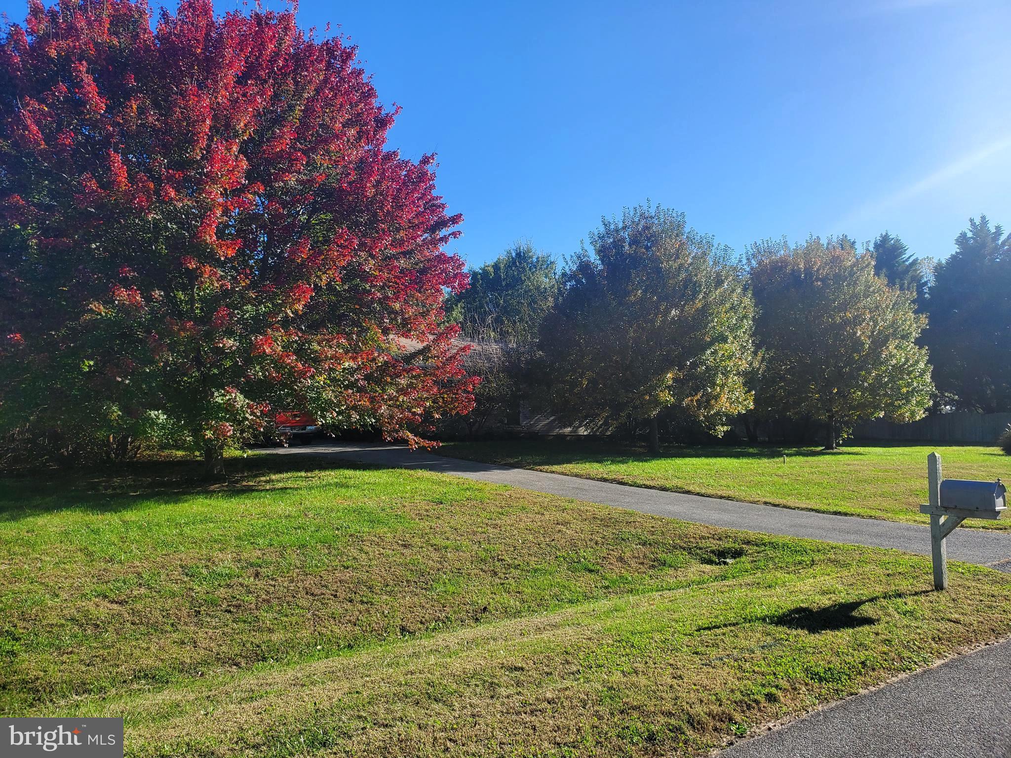 86 Whitetail Lane Magnolia, DE 19962 - Photo 17 of 18 a view of a golf course with a trees