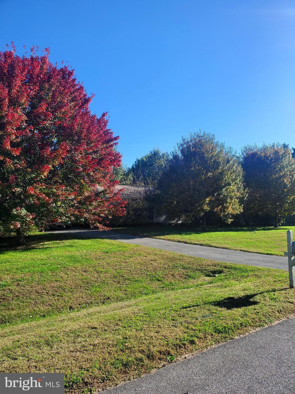 86 Whitetail Lane Magnolia, DE 19962 - Photo 2 of 18 a view of a field with an trees