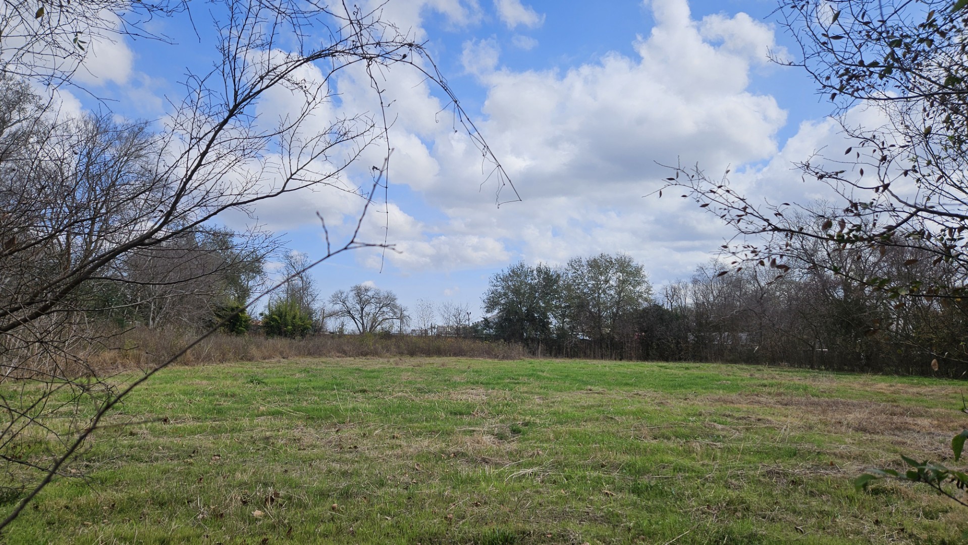 13921 Old Chocolate Bayou Road Houston, TX 77048 - Photo 2 of 7
