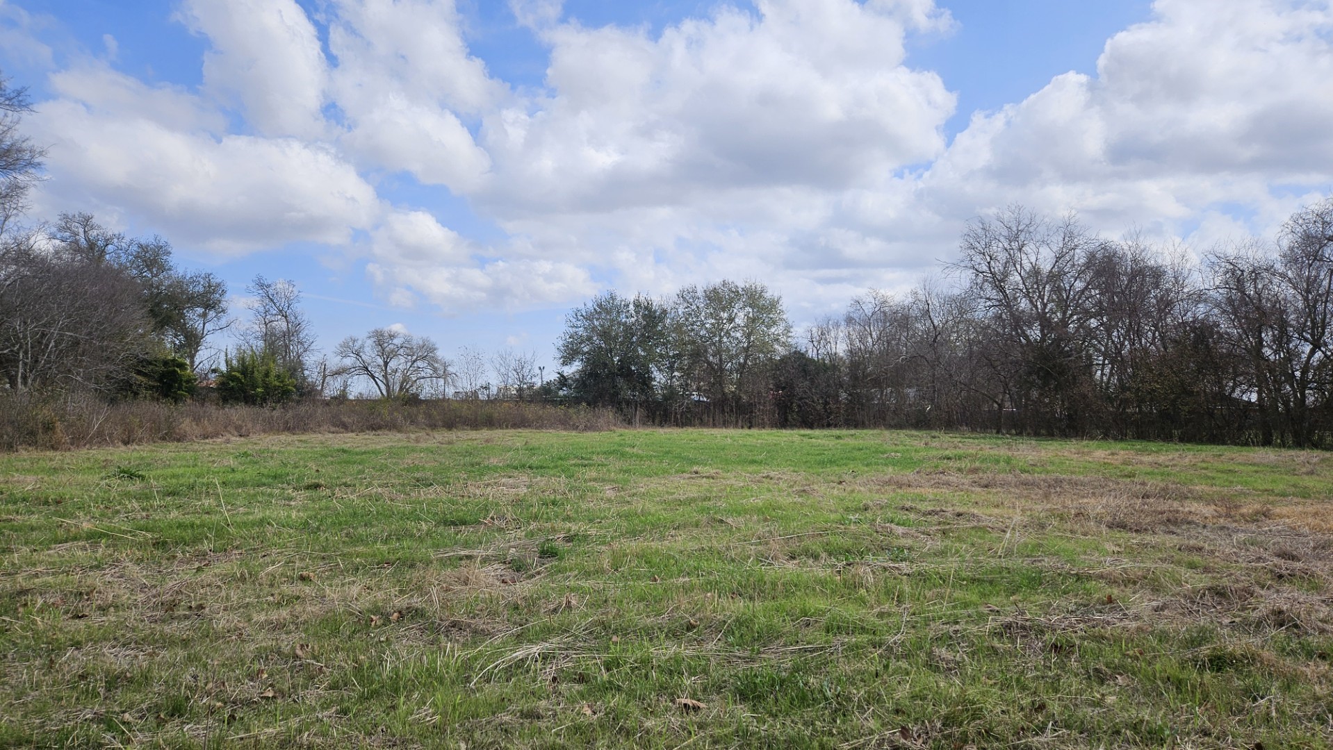 13921 Old Chocolate Bayou Road Houston, TX 77048 - Photo 3 of 7