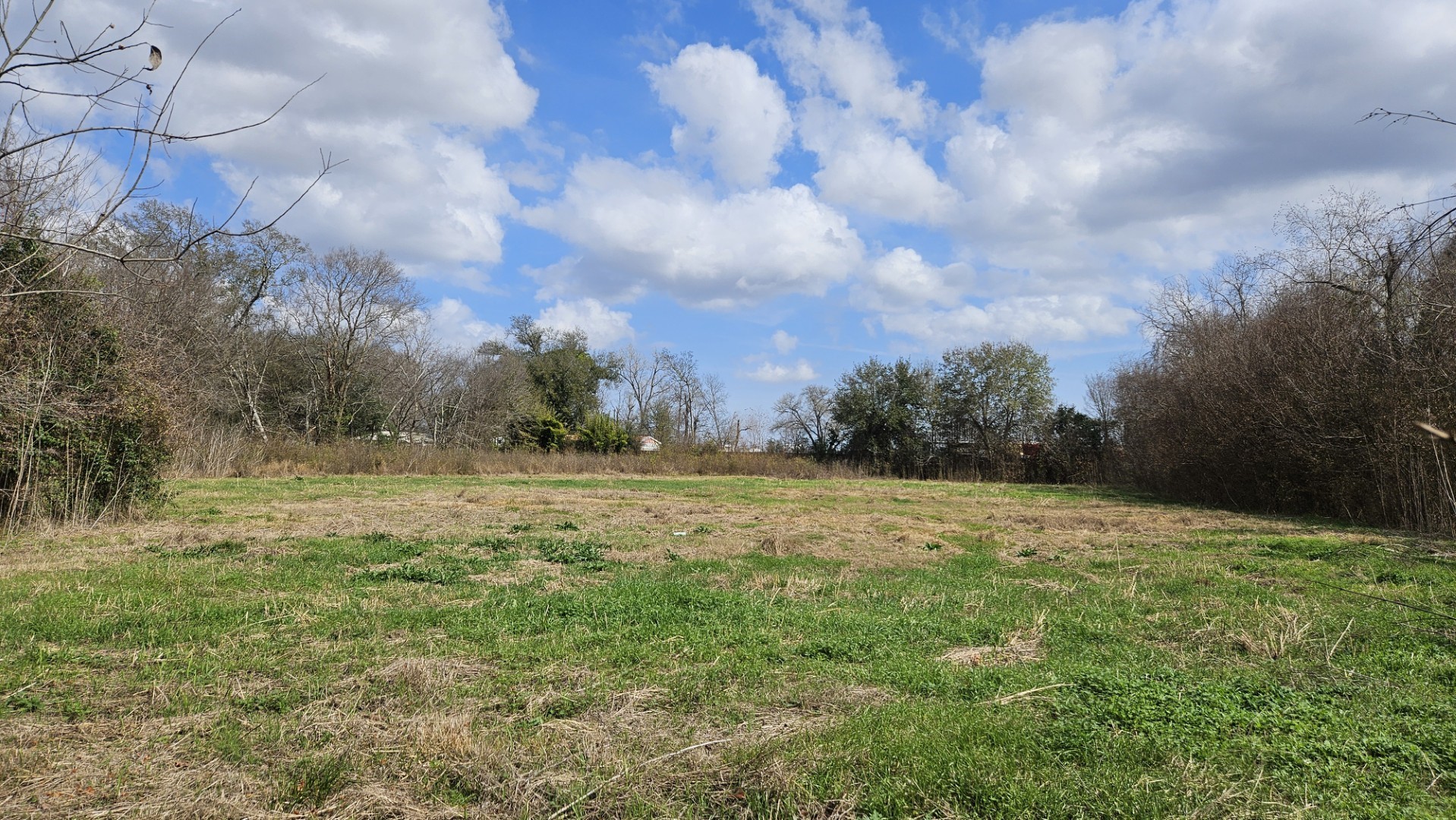 13921 Old Chocolate Bayou Road Houston, TX 77048 - Photo 4 of 7