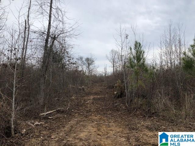 0 Pine Mountain Road, Unit 3 Springville, AL 35146 - Photo 11 of 14