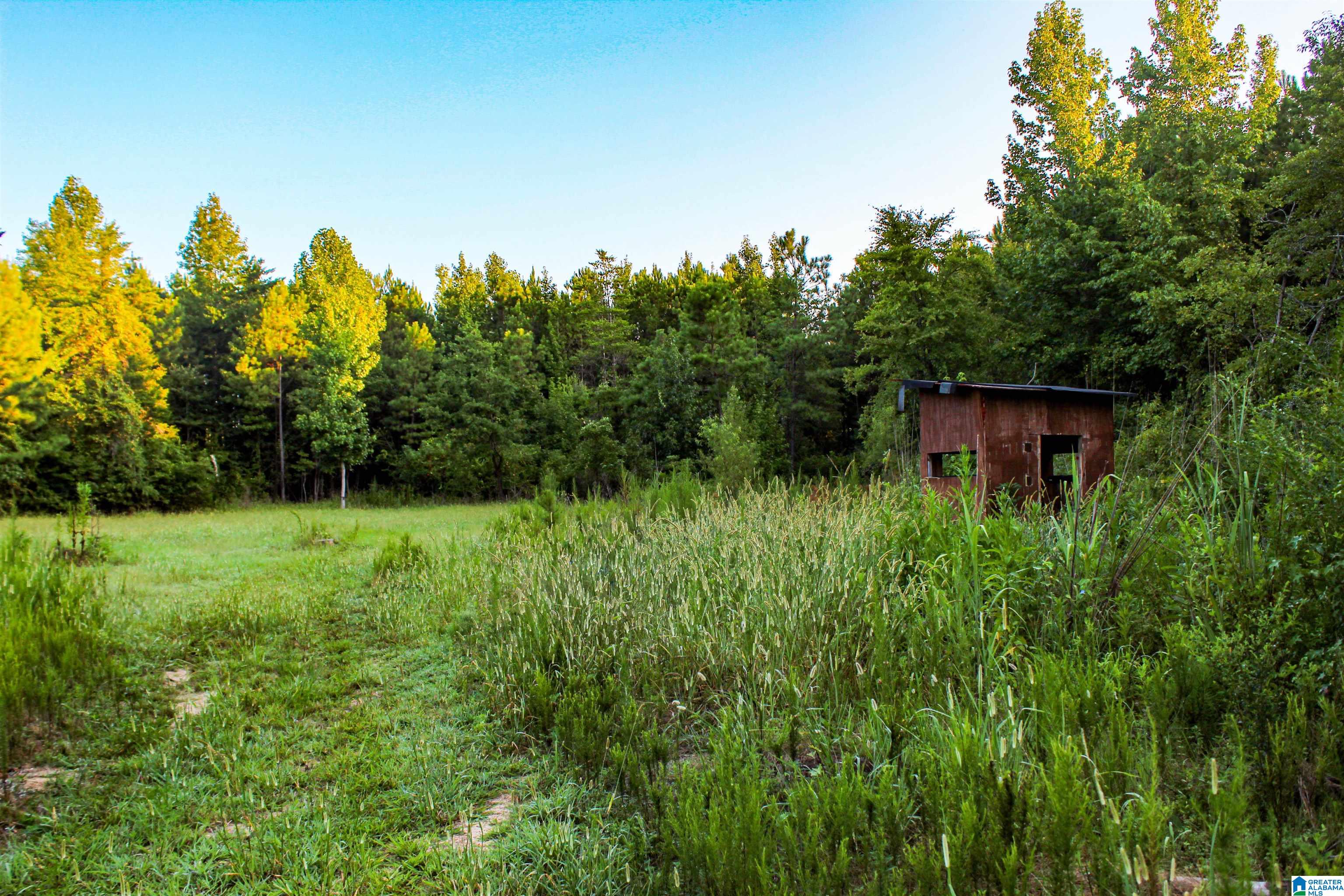 Bonner Drive, Unit 1 Berry, AL 35546 - Photo 18 of 56
