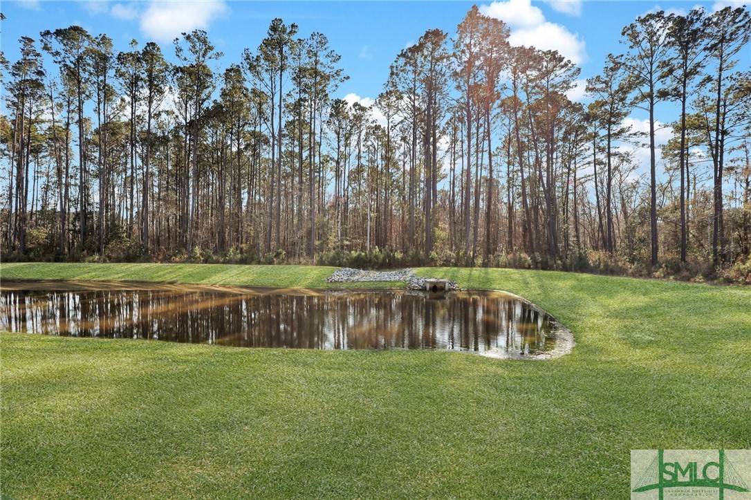 114 Canal Cove Pooler, GA 31322 - Photo 42 of 46 View from back