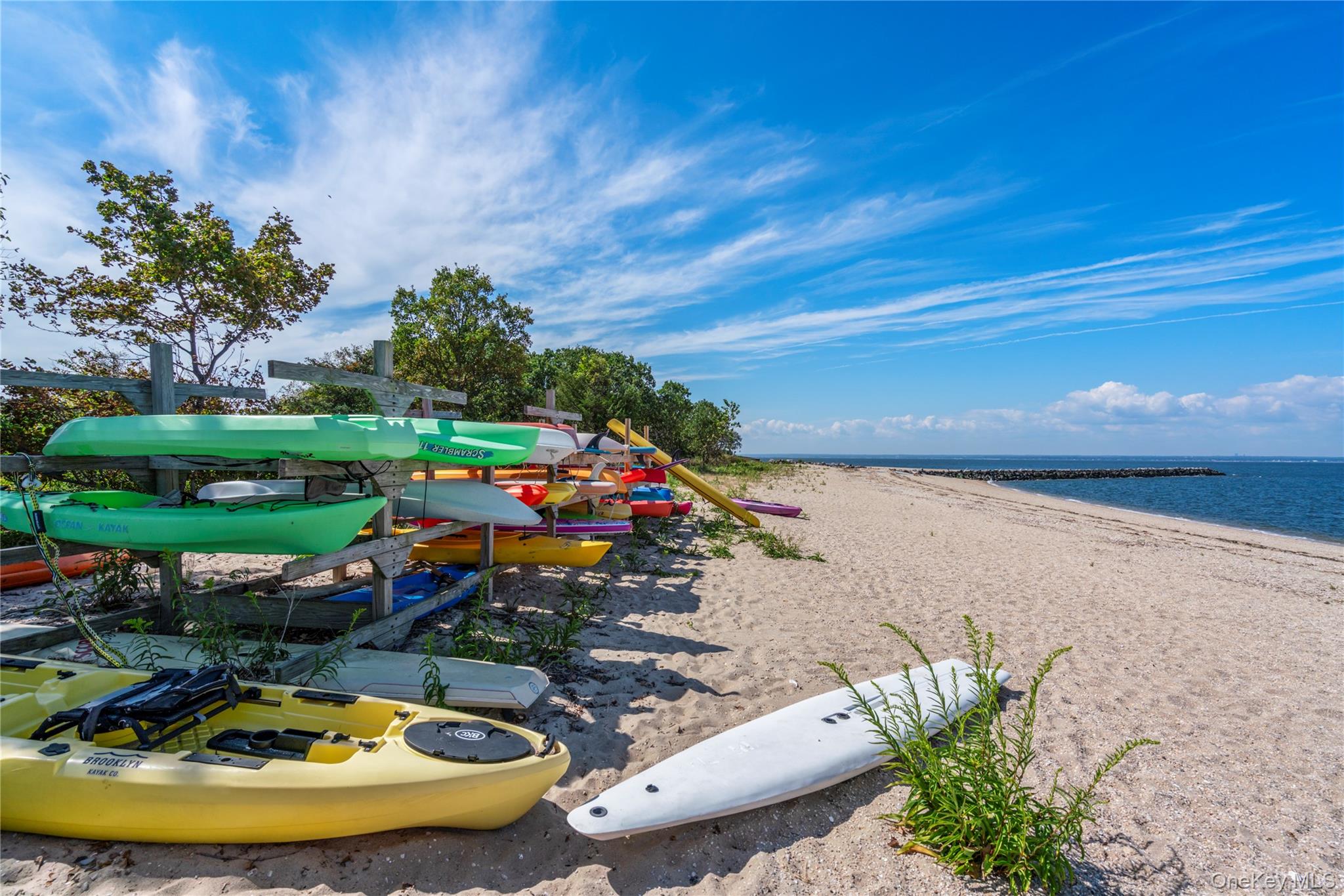 12 Parish Drive Locust Valley, NY 11560 - Photo 8 of 49 a view of a swimming pool with a yard