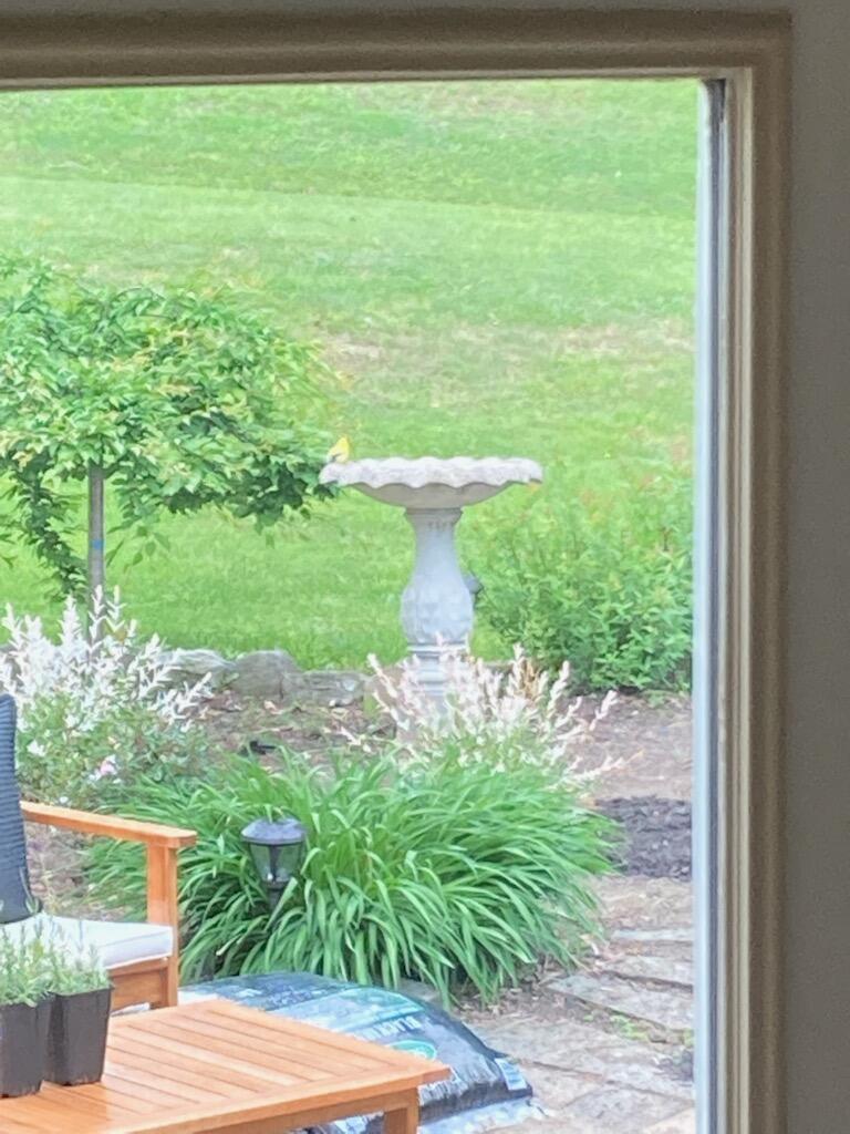 1520 Perkins Ridge Road Auburn, ME 04210 - Photo 55 of 60 F493215C-CA95-4C7F-B47F-00E8118E7665