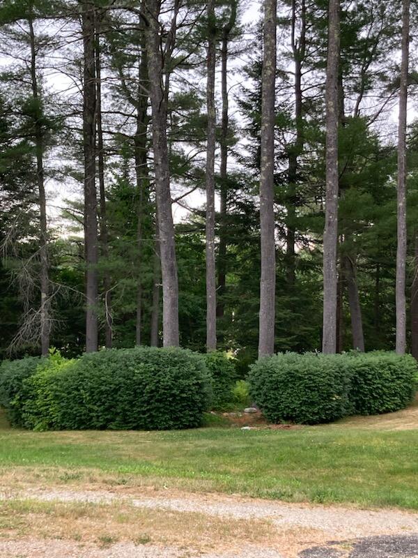 1520 Perkins Ridge Road Auburn, ME 04210 - Photo 57 of 60 18C6DD6E-4ED8-4F23-BE8C-D08B4712D330