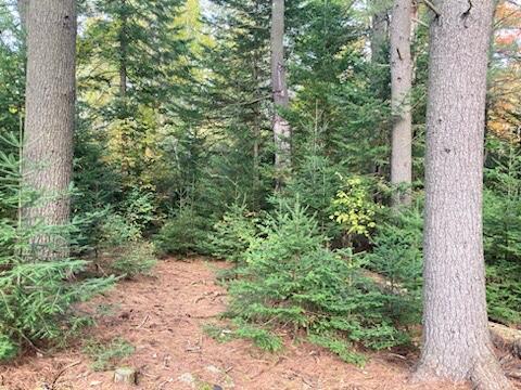 1520 Perkins Ridge Road Auburn, ME 04210 - Photo 60 of 60 8D8DFB1F-0918-4F3E-ABC0-495FD8F08055_4_5