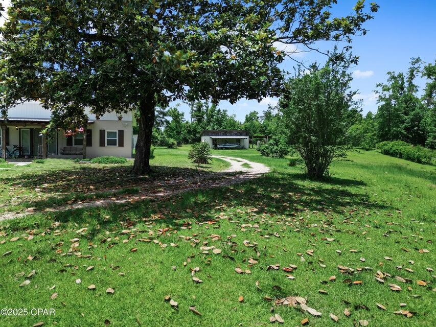 133 Devane Road Chattahoochee, FL 32324 - Photo 8 of 39 a backyard of a house with plants and large tree