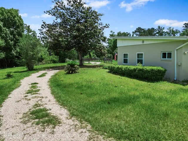 a view of a backyard