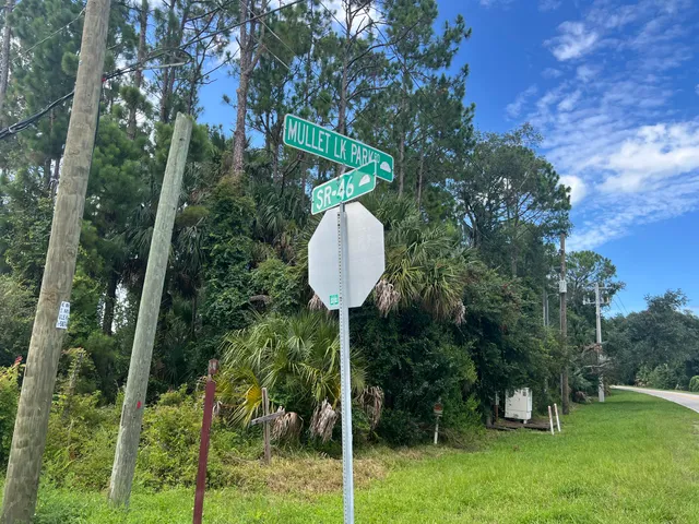 $575,000 | 0 Highway 46, Geneva, FL 32732