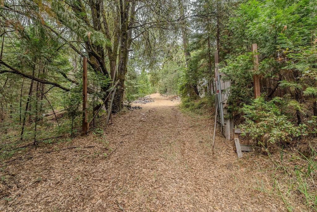 18101 Old River Road Fiddletown, CA 95629 - Photo 11 of 53 Gallery Image 11
