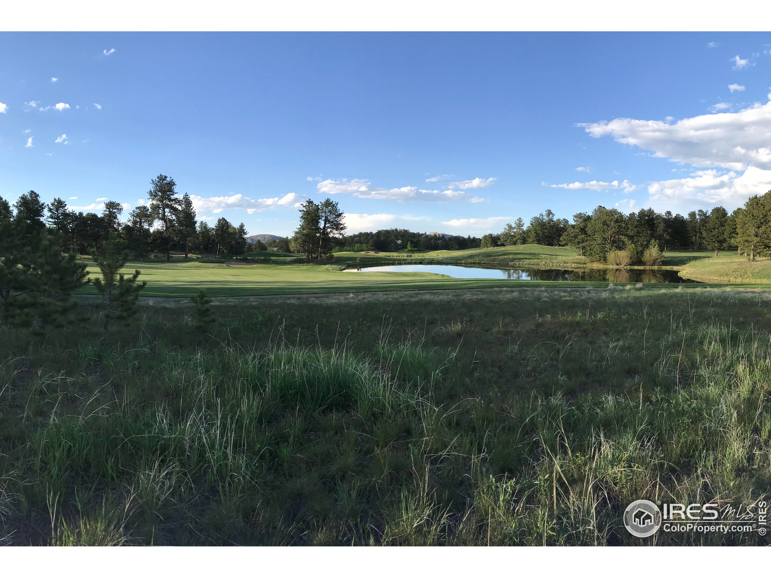 3 Fox Meadow Lane, Unit LOT 3 Red Feather Lakes, CO 80545 - Photo 11 of 25 a view of an outdoor space and yard