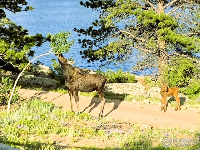 a view of a lake with a yard