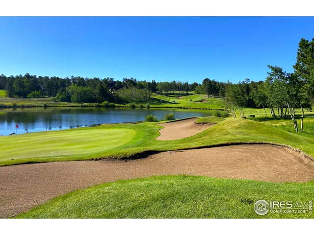 a view of river covered with trees