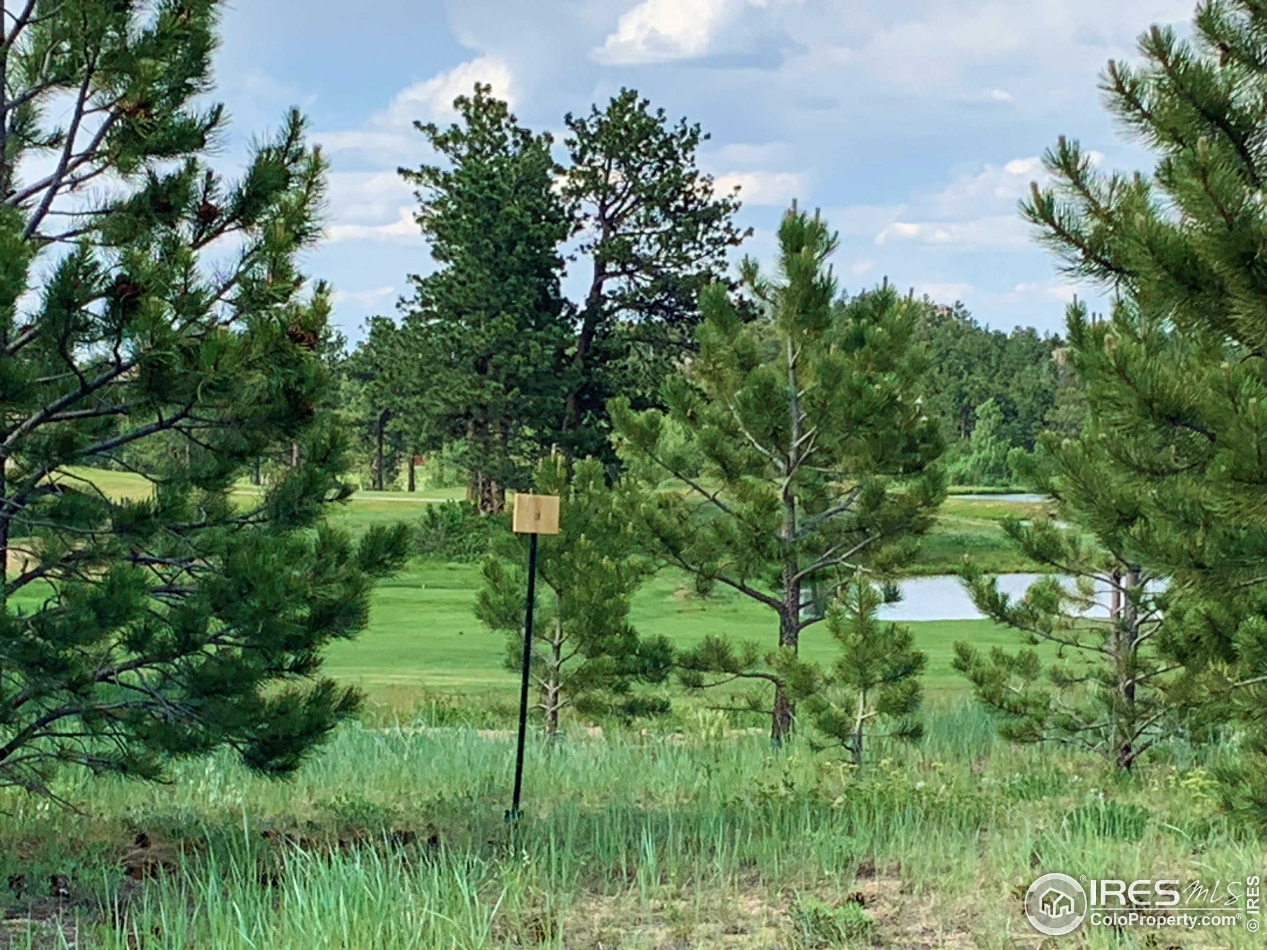 3 Fox Meadow Lane, Unit LOT 3 Red Feather Lakes, CO 80545 - Photo 2 of 25 a lush green forest with lots of trees