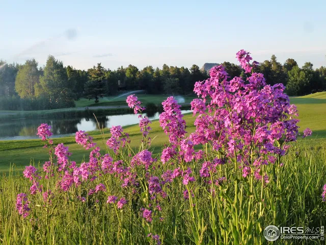 $69,900 | 3 Fox Meadow Lane, Unit LOT 3, Red Feather Lakes, CO 80545