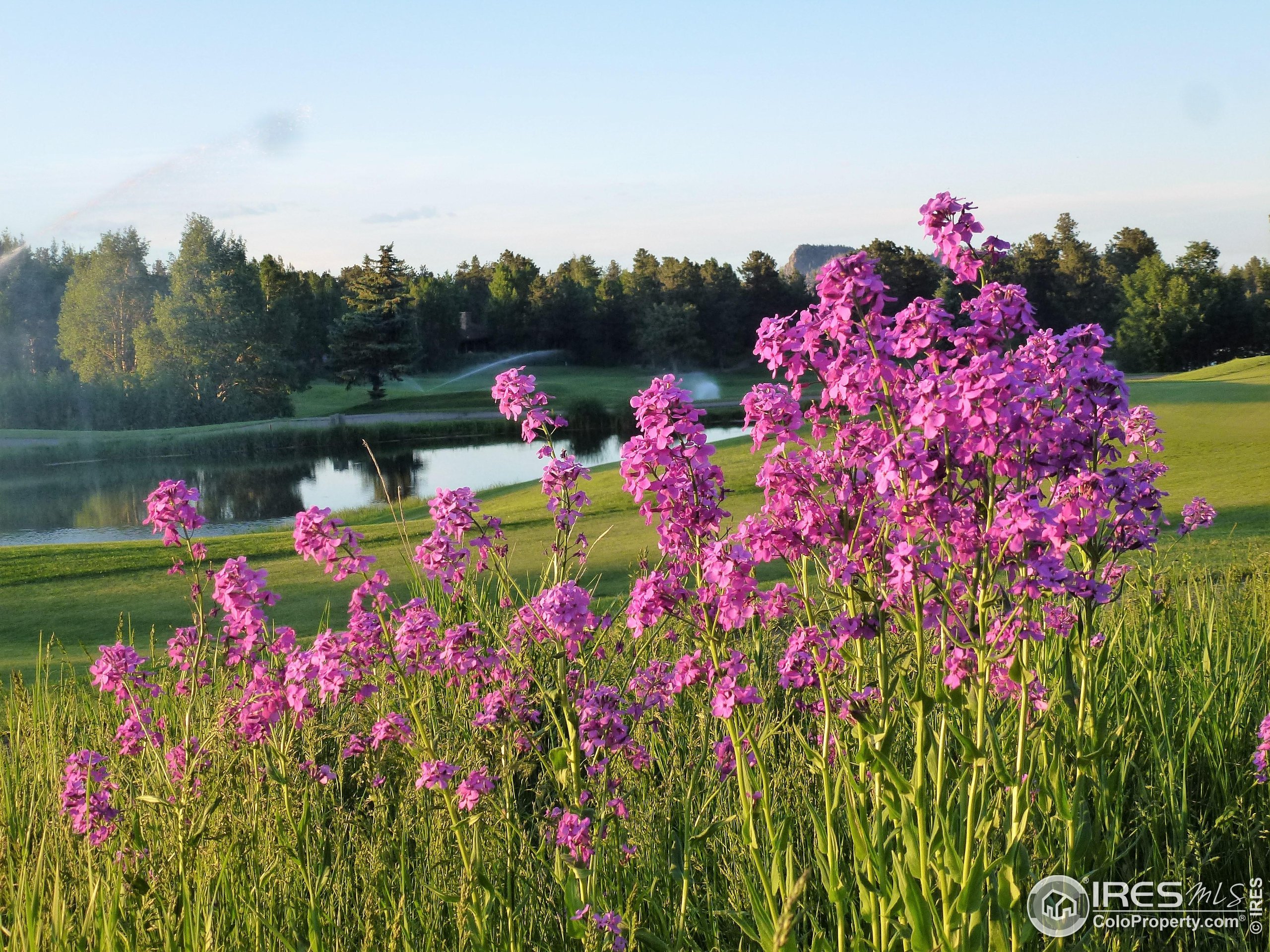 3 Fox Meadow Lane, Unit LOT 3 Red Feather Lakes, CO 80545 - Photo 22 of 25