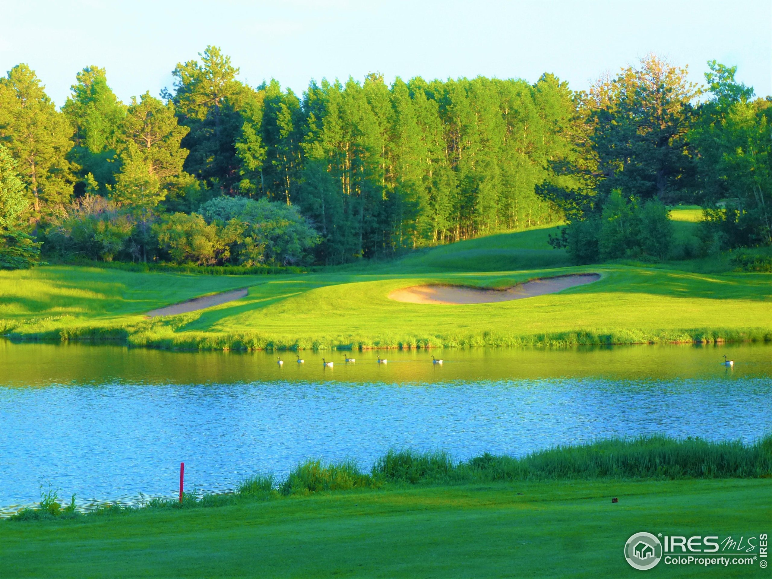 3 Fox Meadow Lane, Unit LOT 3 Red Feather Lakes, CO 80545 - Photo 25 of 25