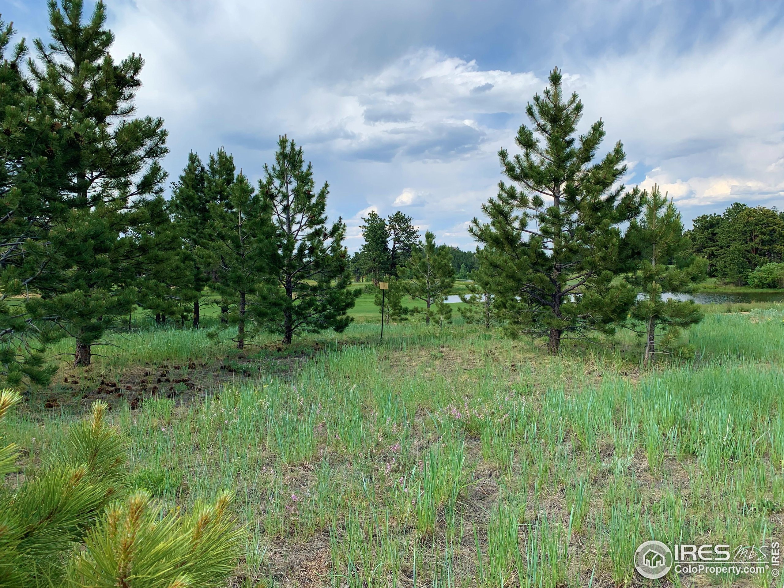 3 Fox Meadow Lane, Unit LOT 3 Red Feather Lakes, CO 80545 - Photo 4 of 25 a view of a lush green space