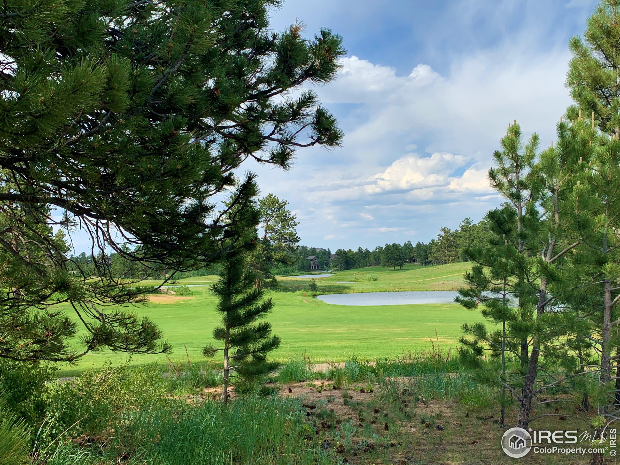 3 Fox Meadow Lane, Unit LOT 3 Red Feather Lakes, CO 80545 - Photo 6 of 25 a view of a golf course with a lake
