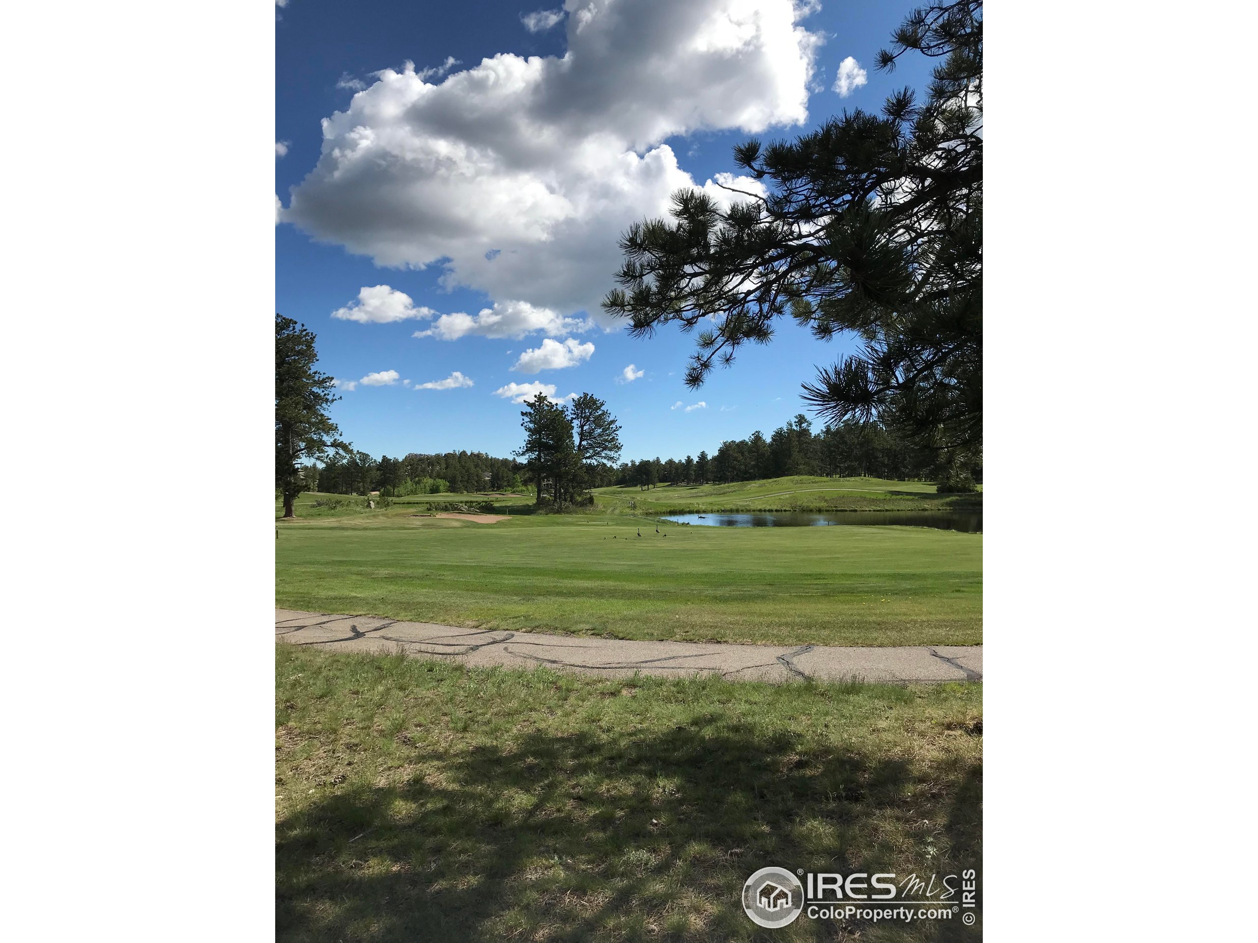 3 Fox Meadow Lane, Unit LOT 3 Red Feather Lakes, CO 80545 - Photo 7 of 25 a view of a lake