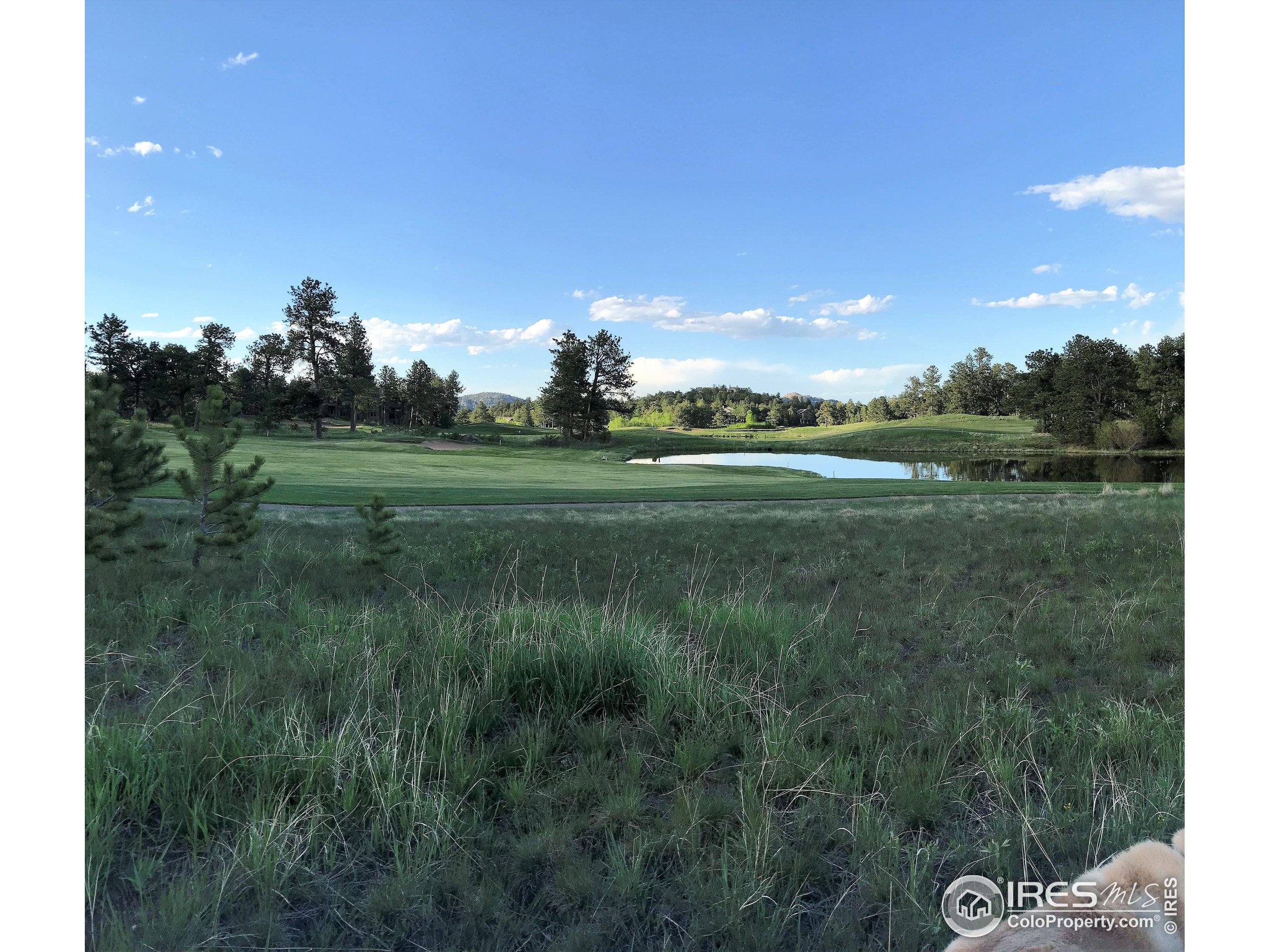 3 Fox Meadow Lane, Unit LOT 3 Red Feather Lakes, CO 80545 - Photo 8 of 25 a view of a golf course with a lake