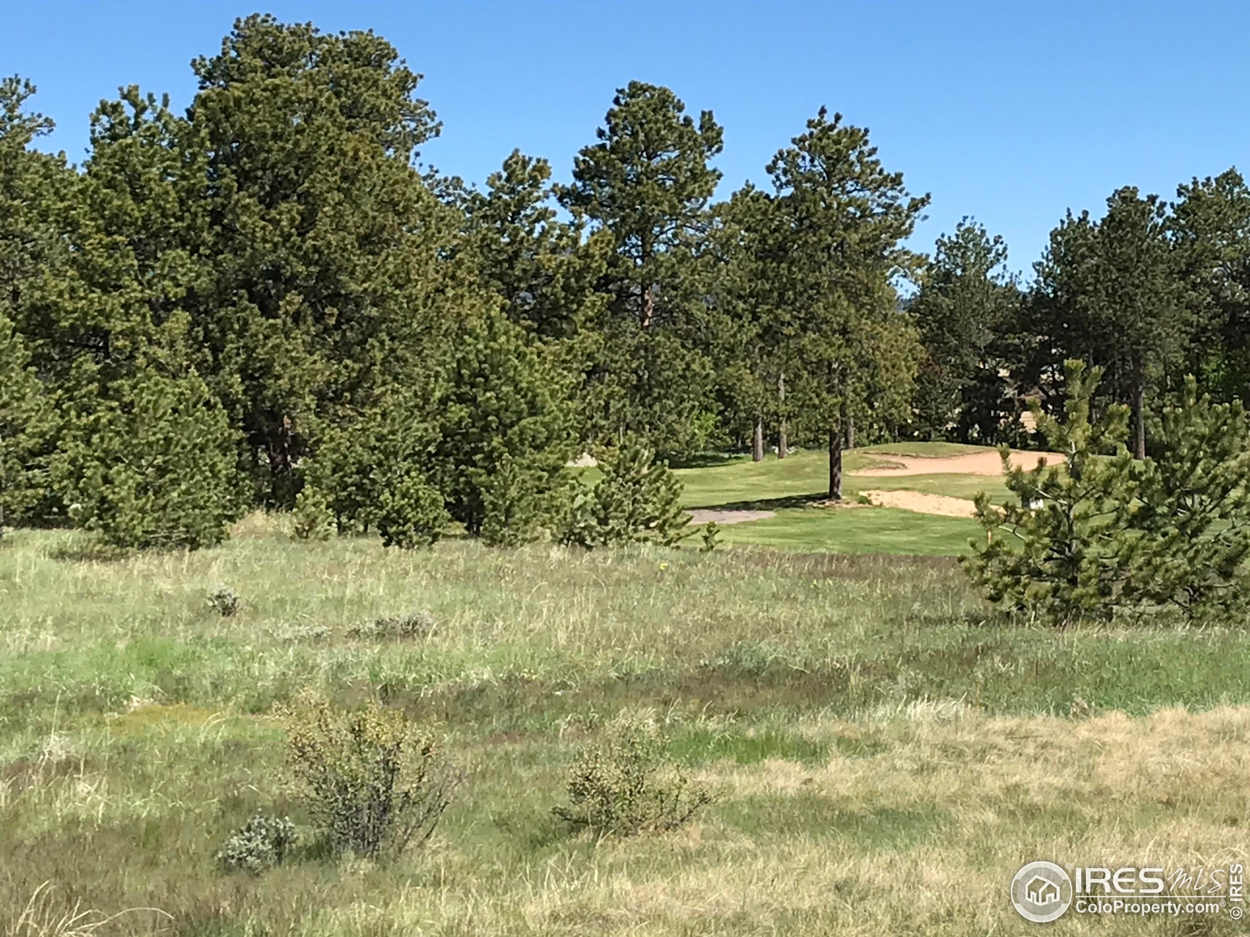 3 Fox Meadow Lane, Unit LOT 3 Red Feather Lakes, CO 80545 - Photo 9 of 25 a view of outdoor space with trees all around
