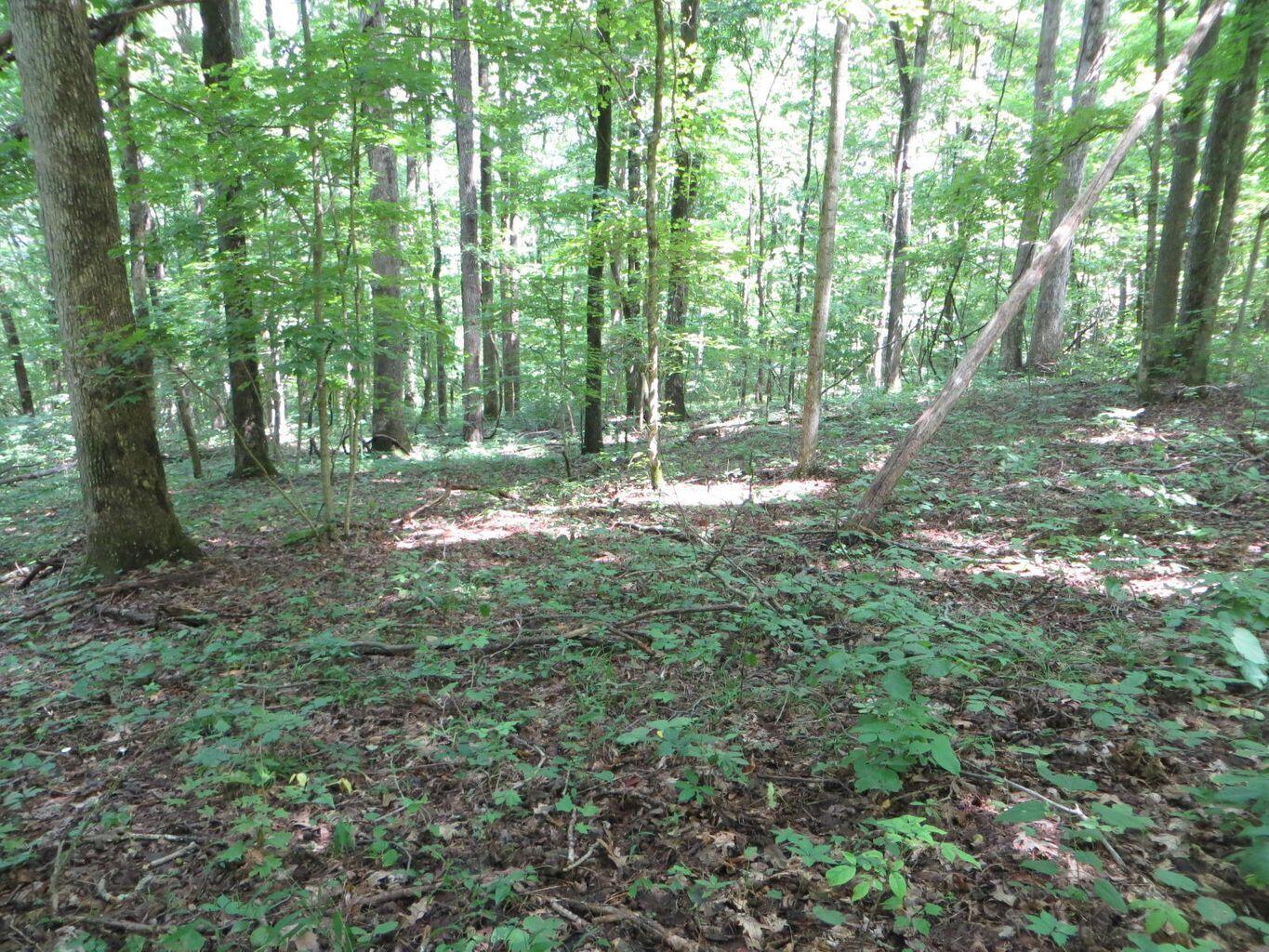 1670 Cherokee Ridge Road, Unit 121/122/123 Pikeville, TN 37367 - Photo 1 of 20 121 1