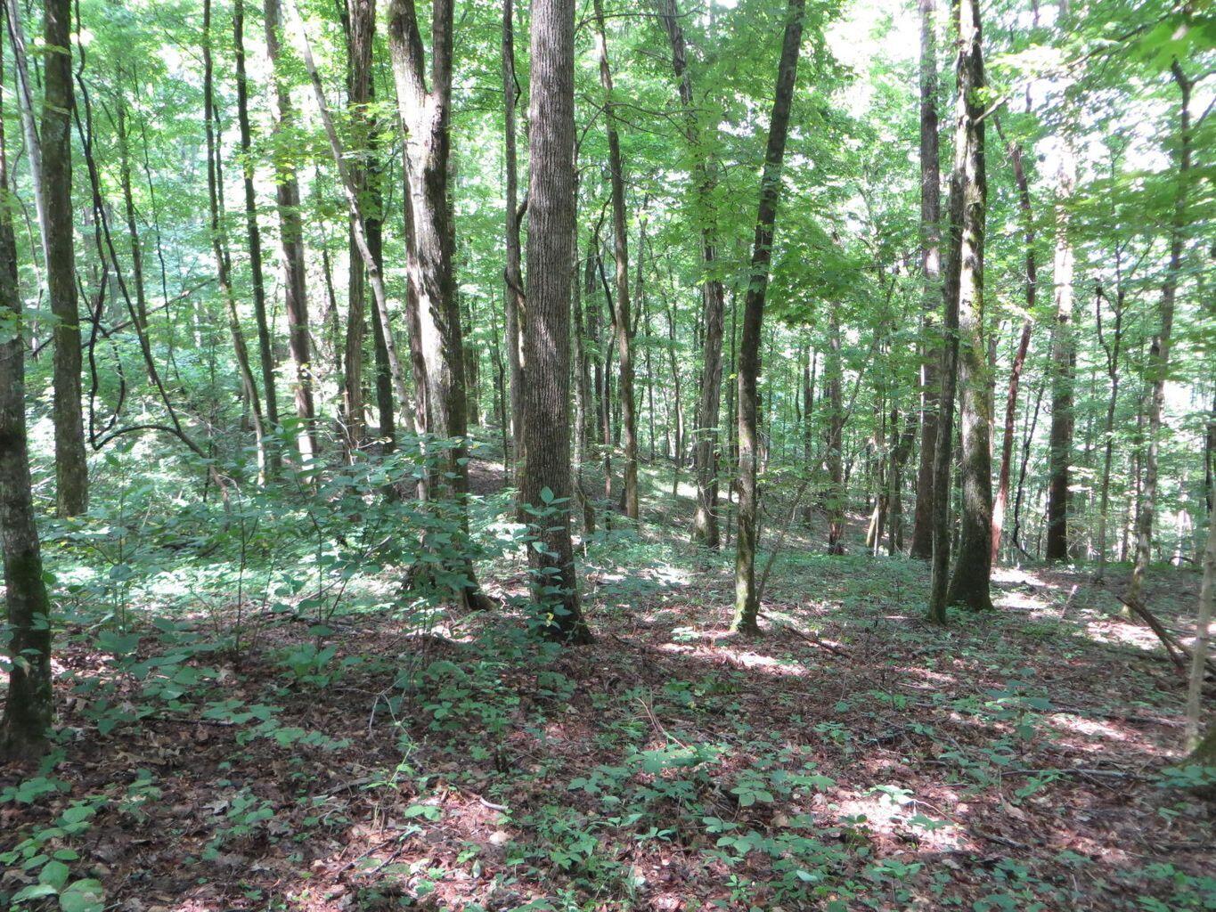 1670 Cherokee Ridge Road, Unit 121/122/123 Pikeville, TN 37367 - Photo 15 of 20 121 7