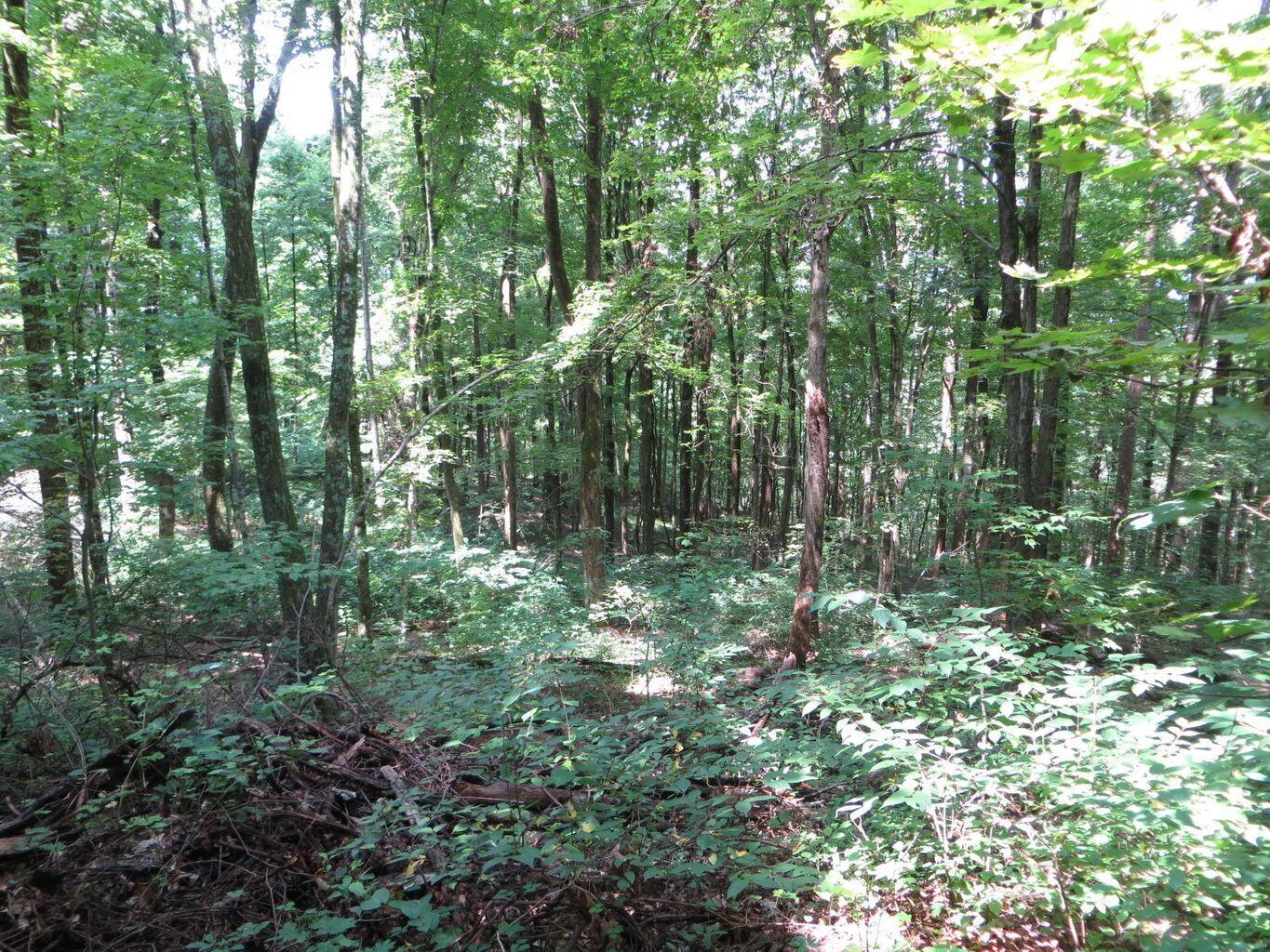1670 Cherokee Ridge Road, Unit 121/122/123 Pikeville, TN 37367 - Photo 16 of 20 121 6