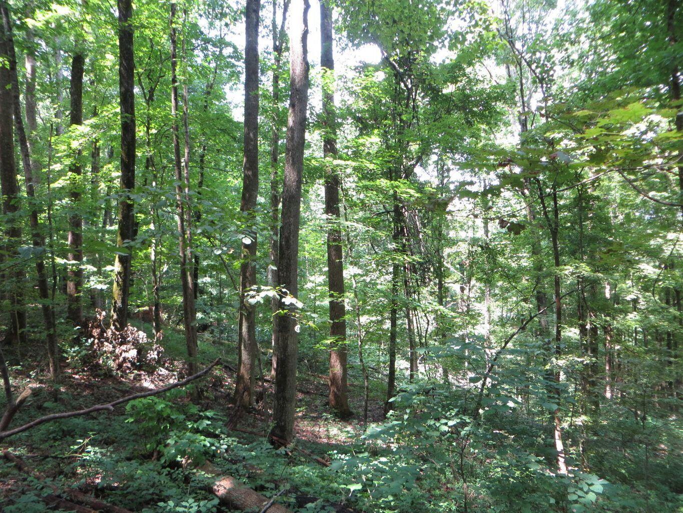 1670 Cherokee Ridge Road, Unit 121/122/123 Pikeville, TN 37367 - Photo 17 of 20 121 5