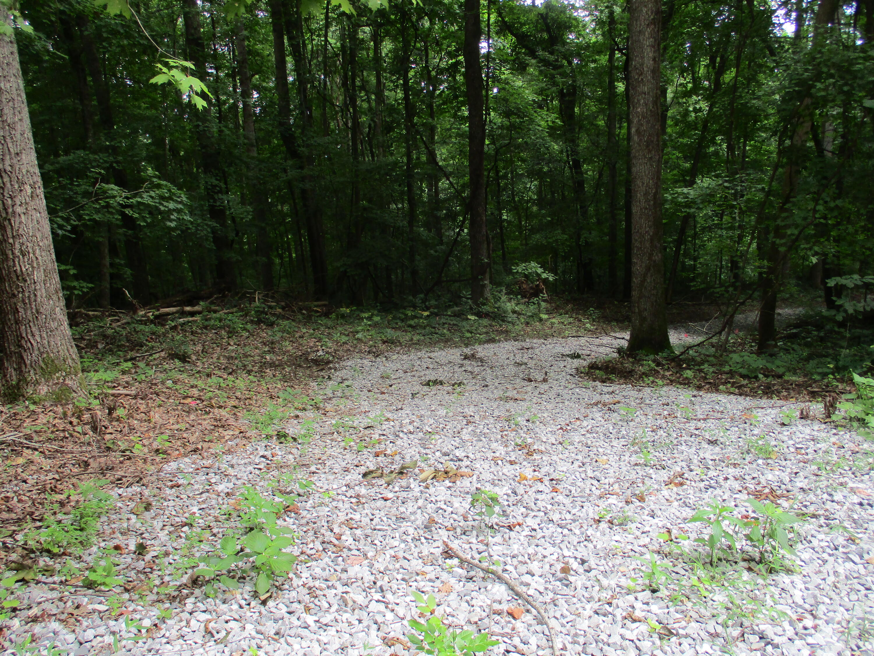 1670 Cherokee Ridge Road, Unit 121/122/123 Pikeville, TN 37367 - Photo 3 of 20 IMG_1548