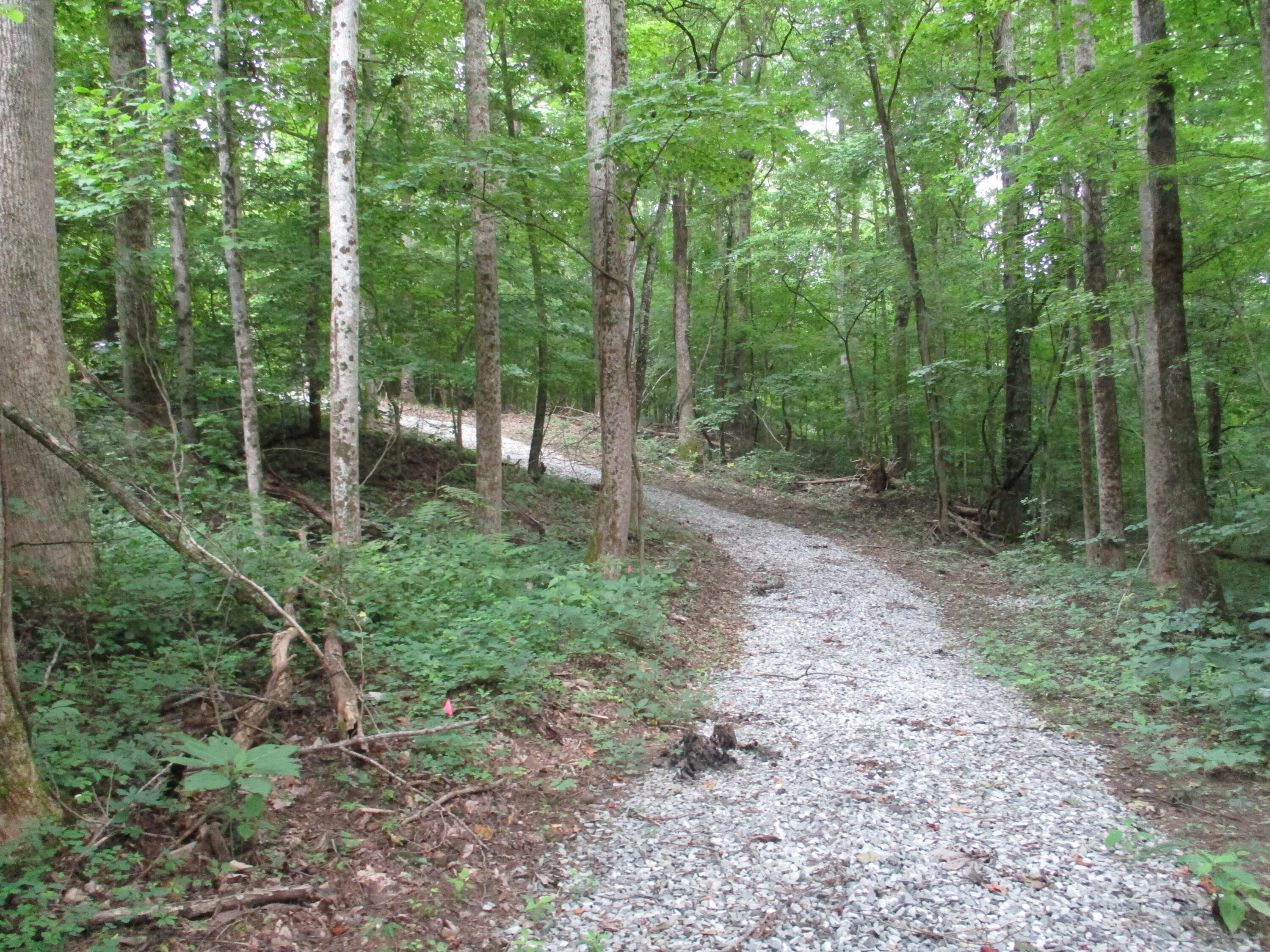 1670 Cherokee Ridge Road, Unit 121/122/123 Pikeville, TN 37367 - Photo 5 of 20 IMG_1550