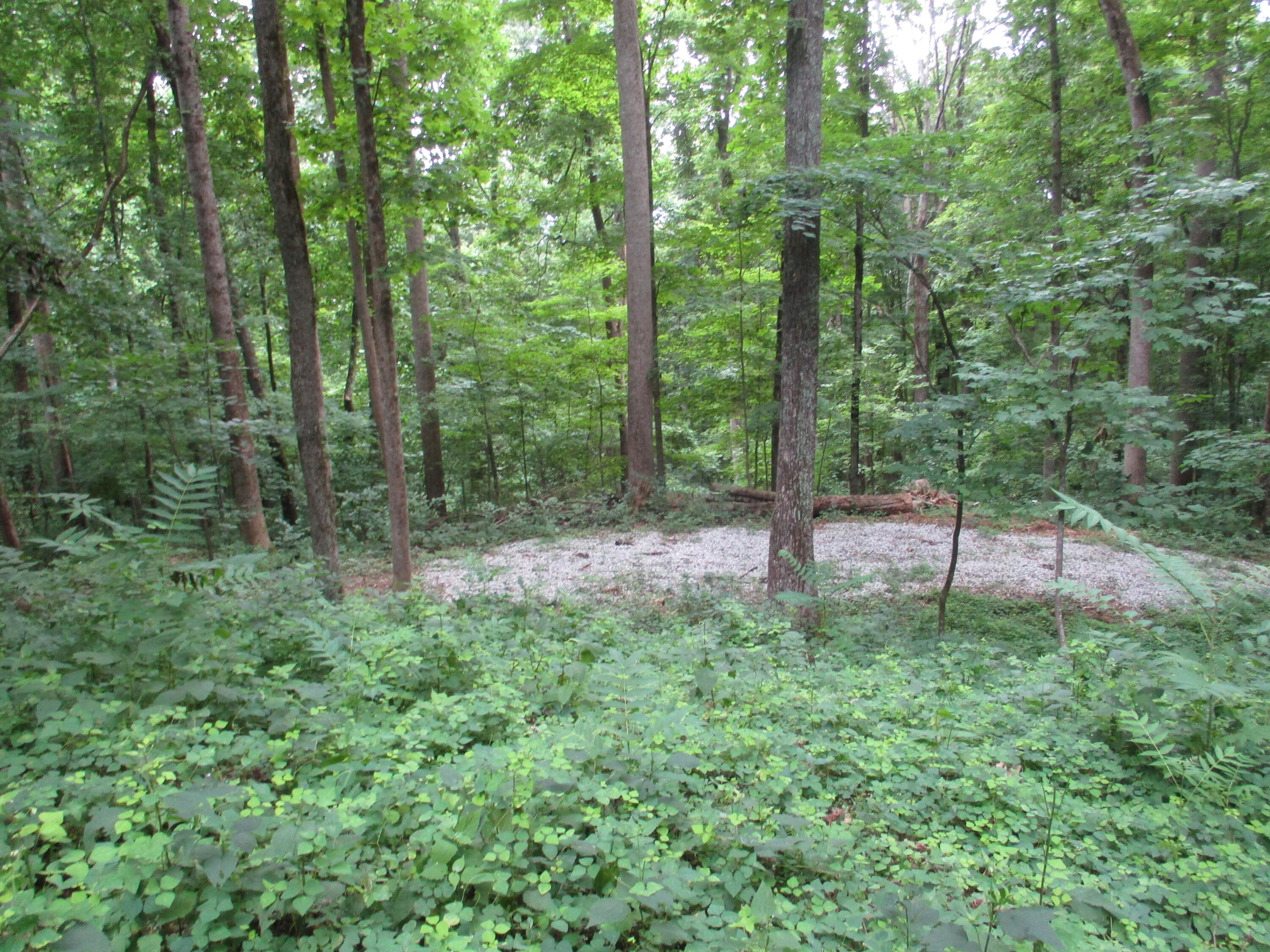 1670 Cherokee Ridge Road, Unit 121/122/123 Pikeville, TN 37367 - Photo 7 of 20 IMG_1552