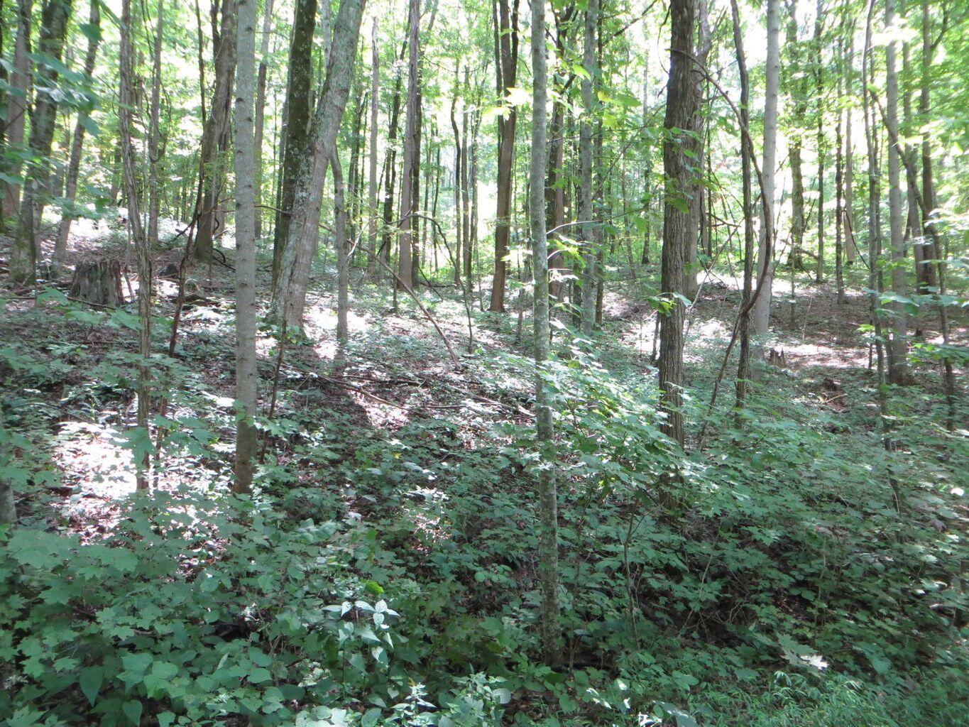 1670 Cherokee Ridge Road, Unit 121/122/123 Pikeville, TN 37367 - Photo 8 of 20 121 14