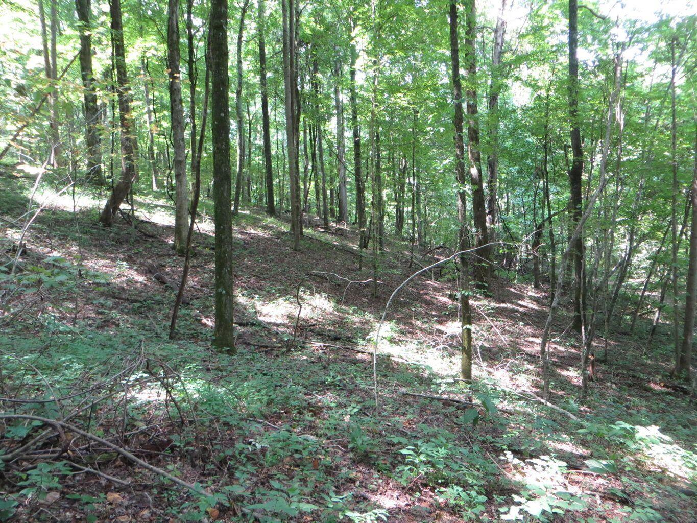 1670 Cherokee Ridge Road, Unit 121/122/123 Pikeville, TN 37367 - Photo 10 of 20 121 12