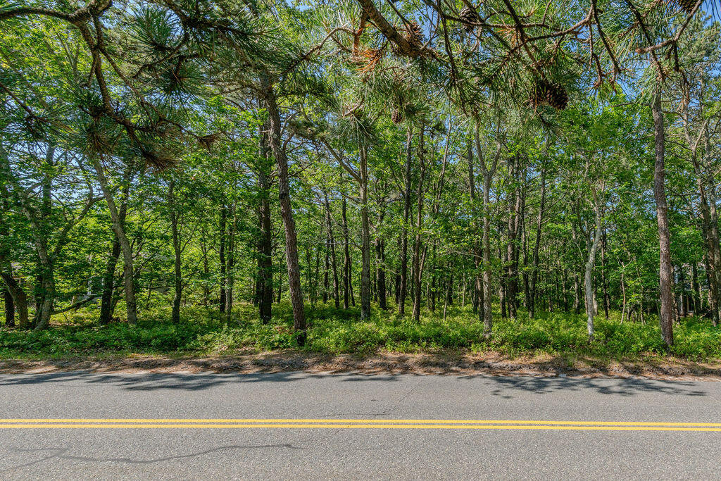 240 Gross Hill Road Wellfleet, MA 02667 - Photo 2 of 17 240_Gross_Hill-2