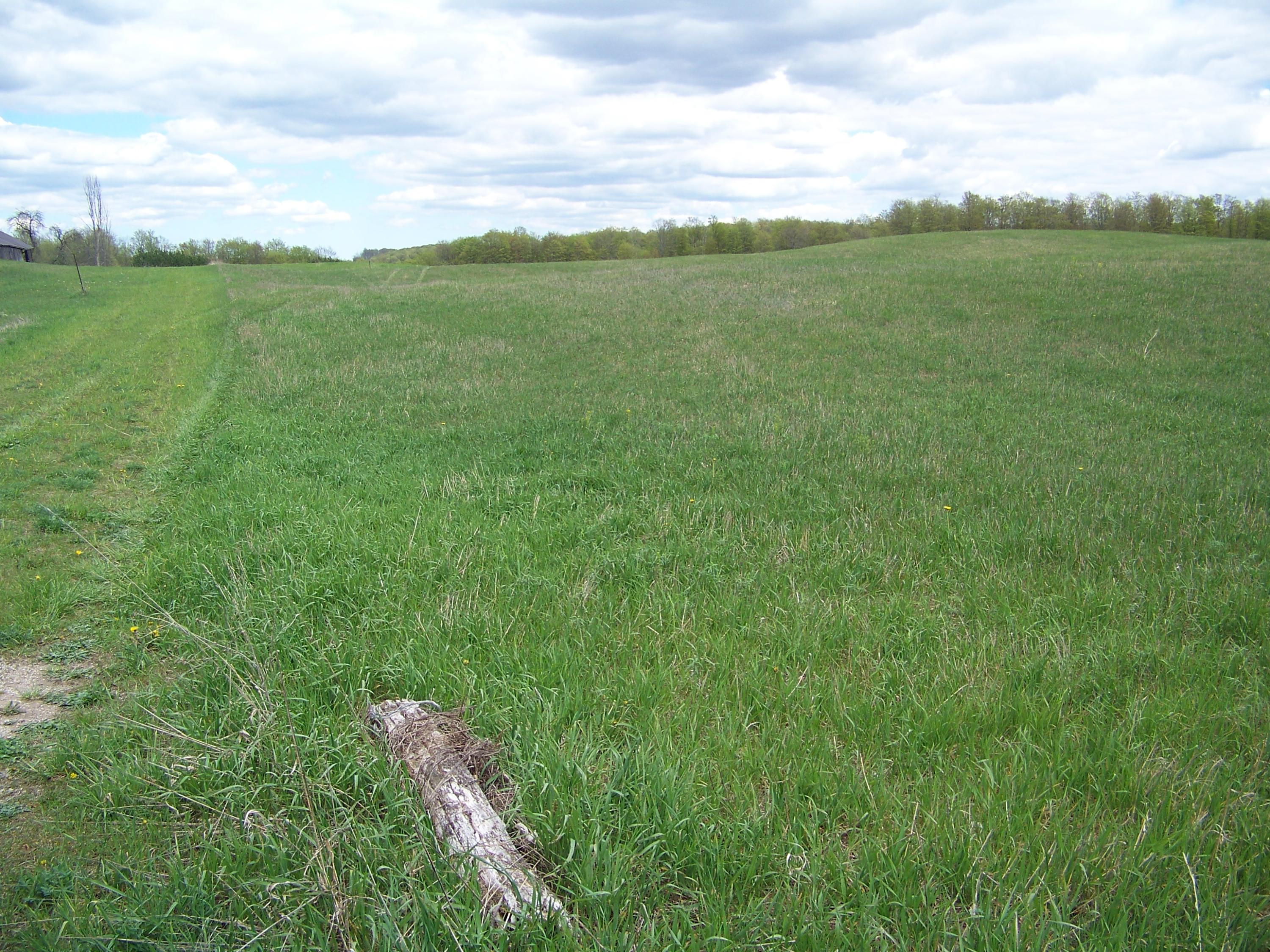Kujawa/seymore Road Gaylord, MI 49735 - Photo 17 of 18 Gallery Image 17