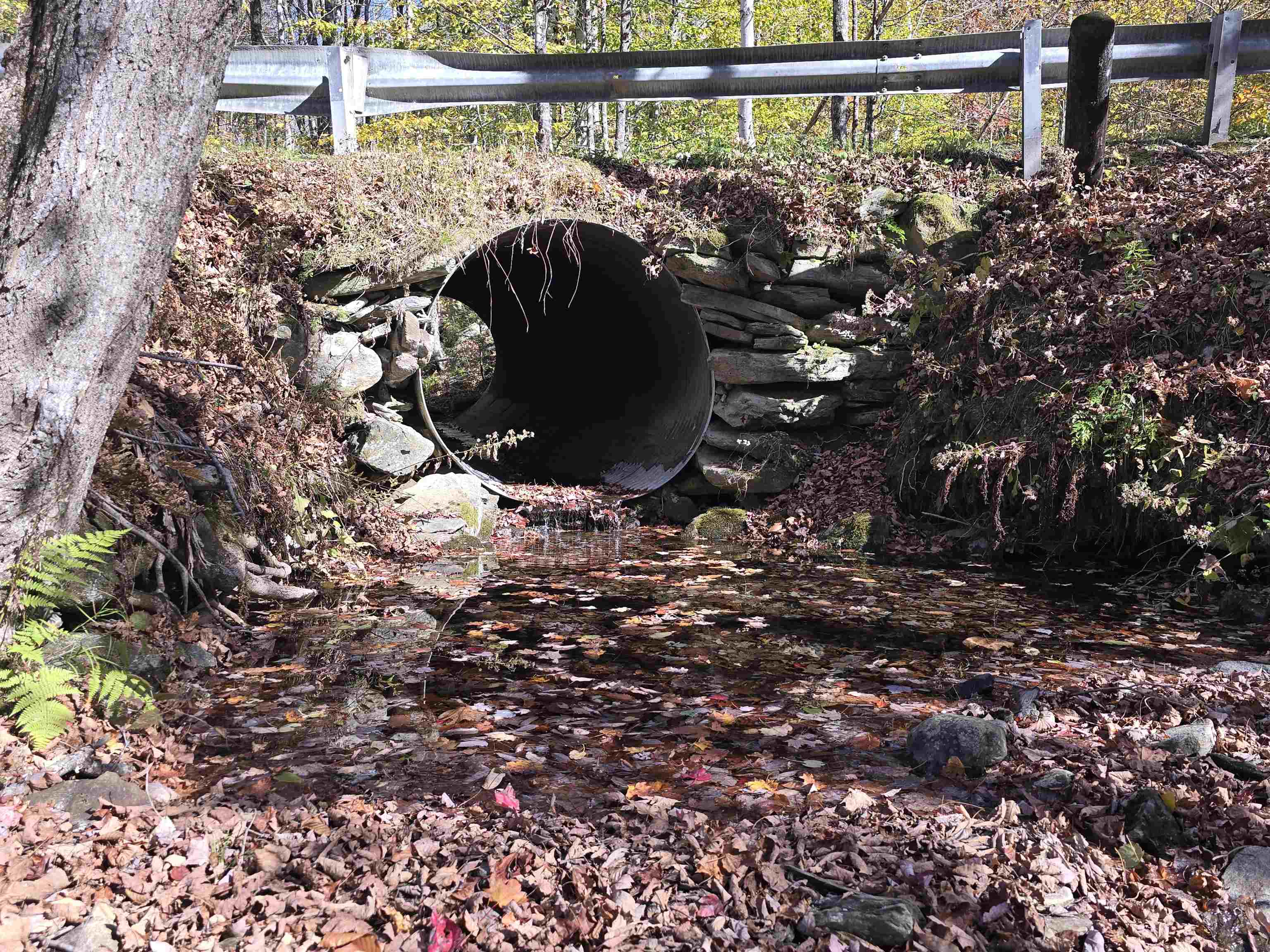 1114 Abbott Road Windham, VT 05359 - Photo 17 of 19