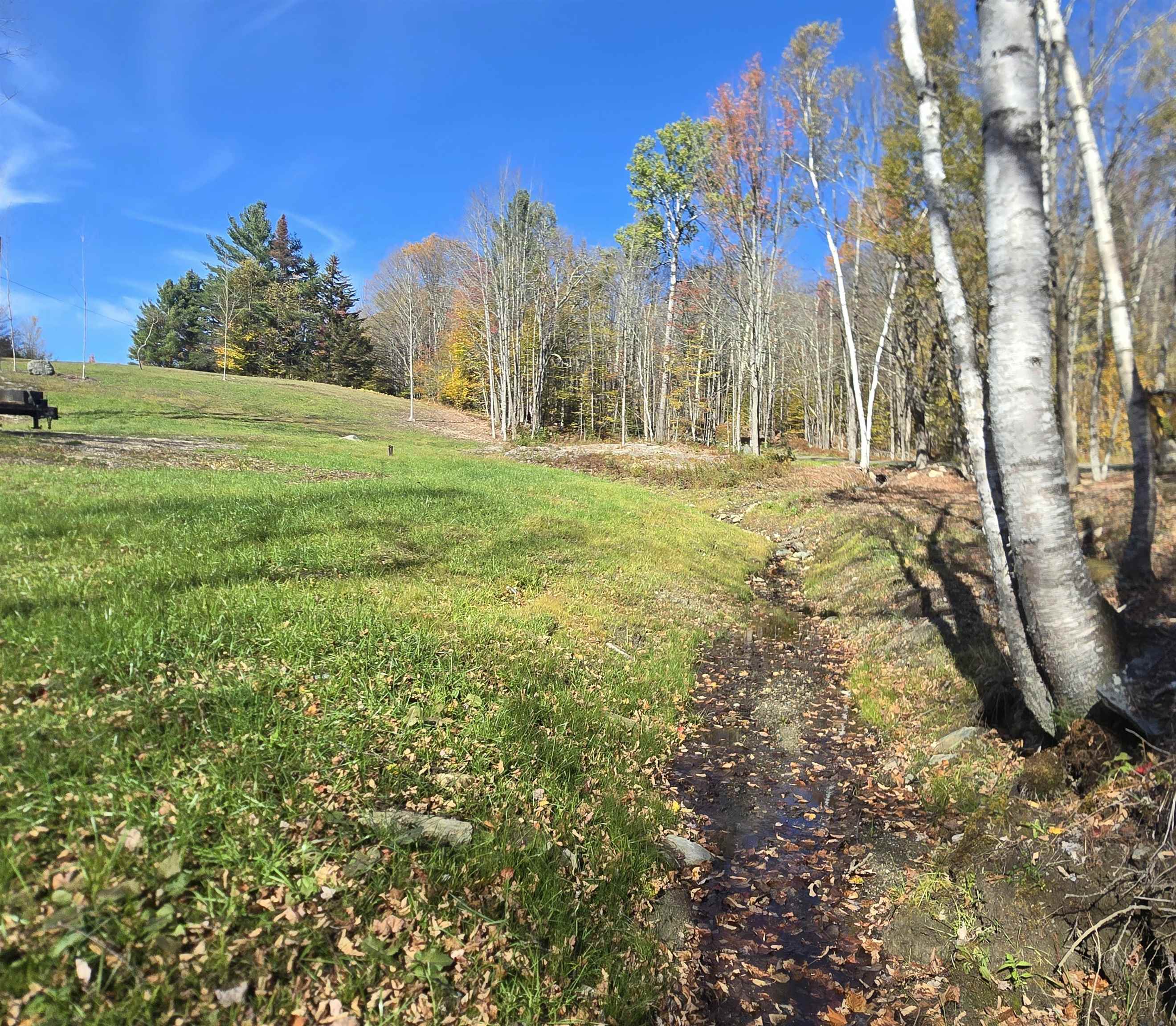 1114 Abbott Road Windham, VT 05359 - Photo 3 of 19