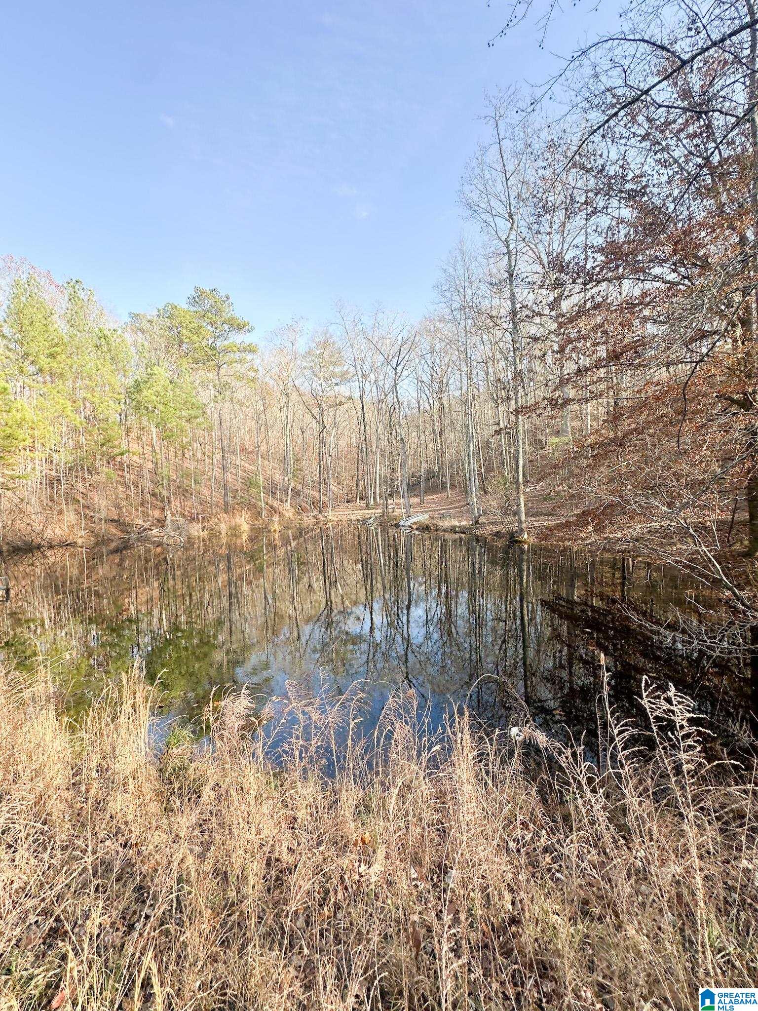 5325 Union T Road Talladega, AL 35160 - Photo 16 of 83