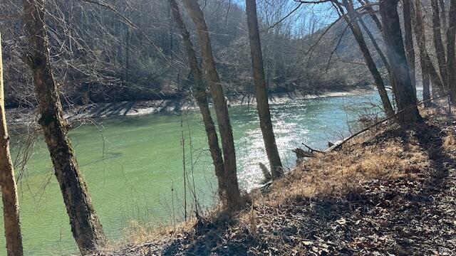 0 Mosley Bend Road Hyden, KY 41749 - Photo 14 of 17 IMG_6128