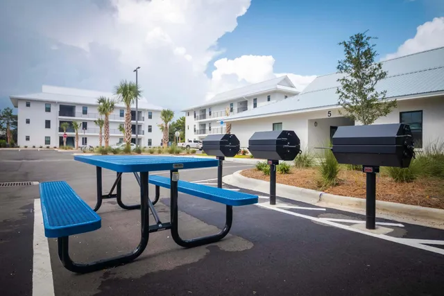 a view of a yard with plants and trees