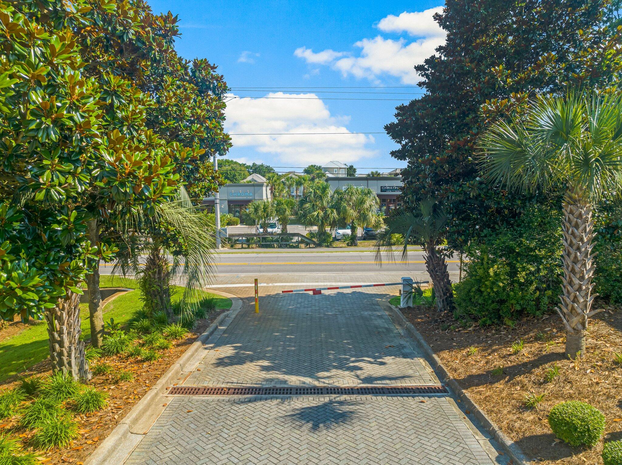 3958 West County Highway 30A, Unit 124 Santa Rosa Beach, FL 32459 - Photo 34 of 51 a view of a yard with plants and trees