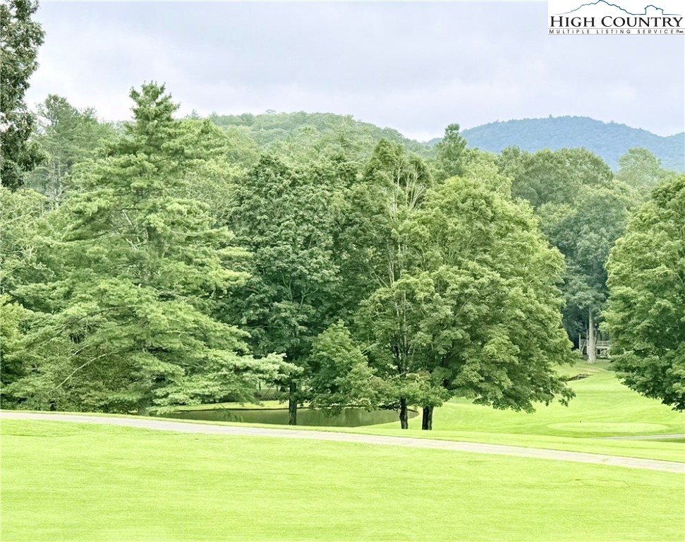 118 Pine Ridge Loop Newland, NC 28657 - Photo 40 of 50 a view of a green field with an trees in the background